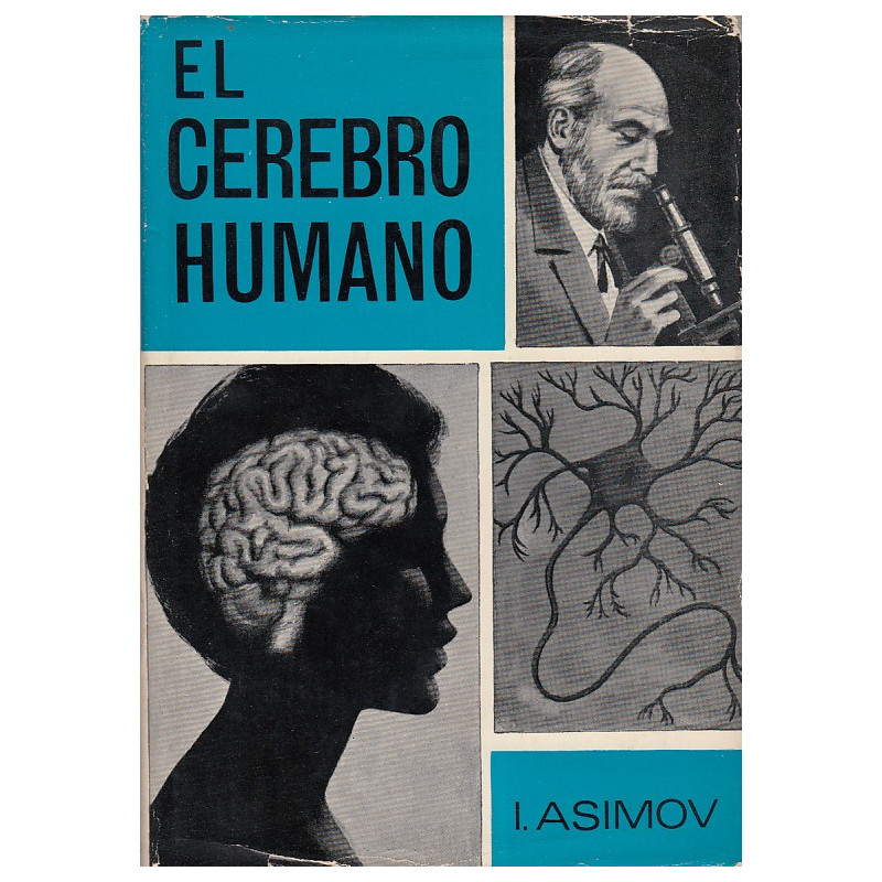 EL CEREBRO HUMANO