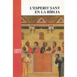 L'ESPERIT SANT EN LA BÍBLIA