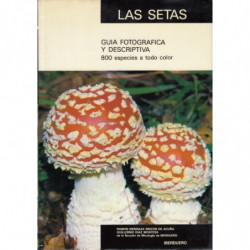 LAS SETAS. GUIA FOTOGRÁFICA Y DESCRIPTIVA. 800 Especies a Todo color