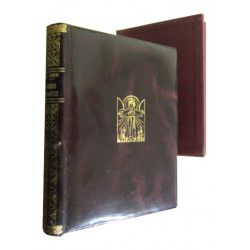 NIÑOS SANTOS. Siluetas de Vidas Edificantes para la infancia y la juventud