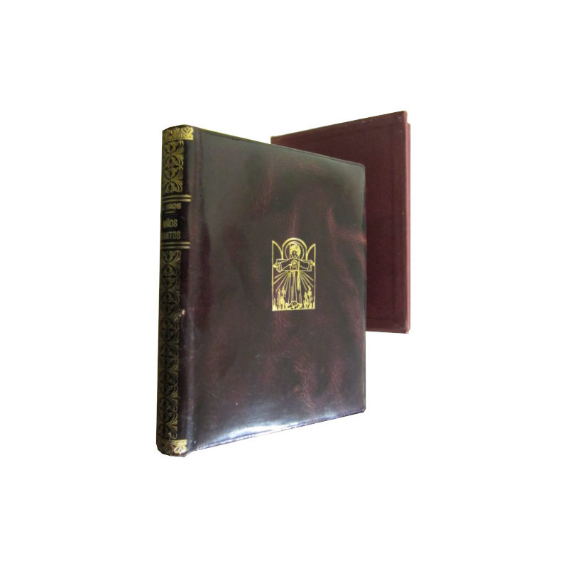 NIÑOS SANTOS. Siluetas de Vidas Edificantes para la infancia y la juventud