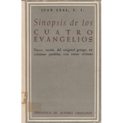 SINOPSIS DE LOS CATRO EVANGELIOS