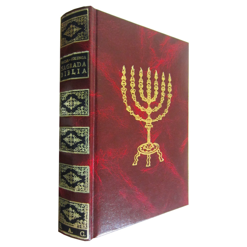 SAGRADA BIBLIA Versión Directa de las Lenguas Originales