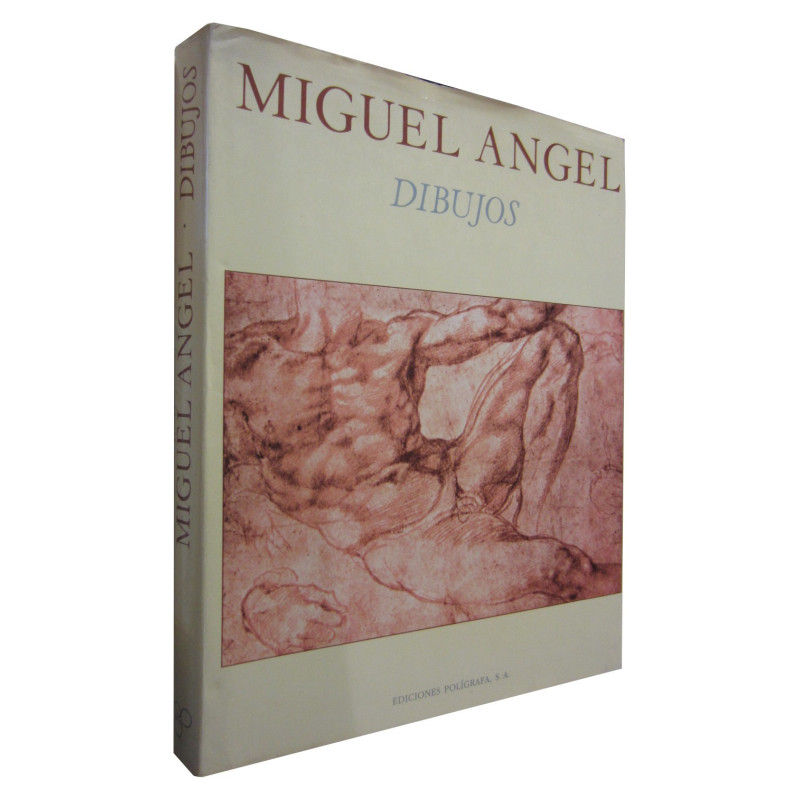 MIGUEL ANGEL Dibujos