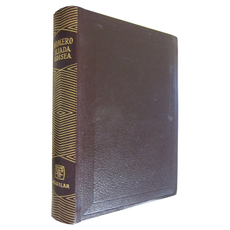 ILIADA - ODISEA