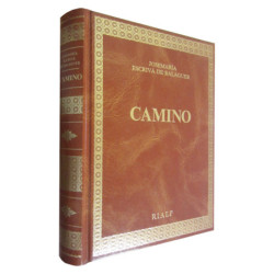 CAMINO