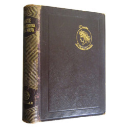 LA DIVINA COMEDIA - LA VIDA NUEVA