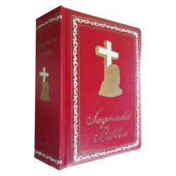 SAGRADA BIBLIA (Edición de la Familia Catolica en Letra Grande)