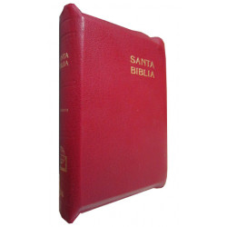 LA SANTA BIBLIA. Antigua versión de Casiodoro de Reina (1569). Reina Valera. Revisión de 1960 con Referencias y Concordancia.