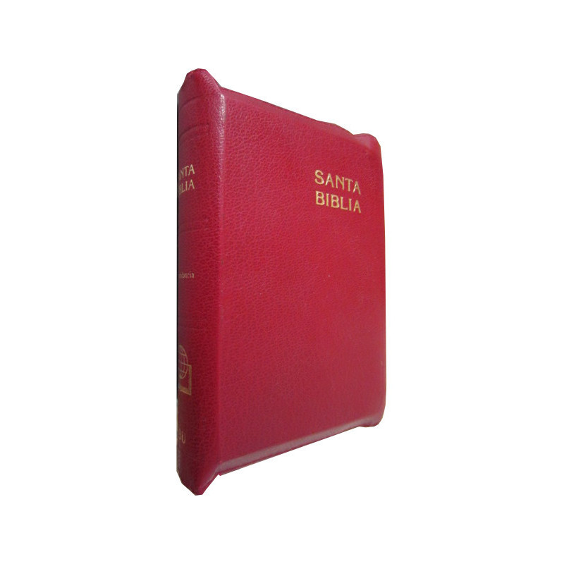 LA SANTA BIBLIA. Antigua versión de Casiodoro de Reina (1569). Reina Valera. Revisión de 1960 con Referencias y Concordancia.