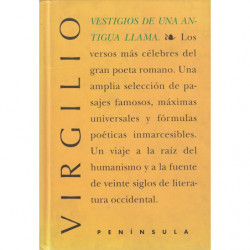 VESTIGIOS DE UNA ANTIGUA LLAMA