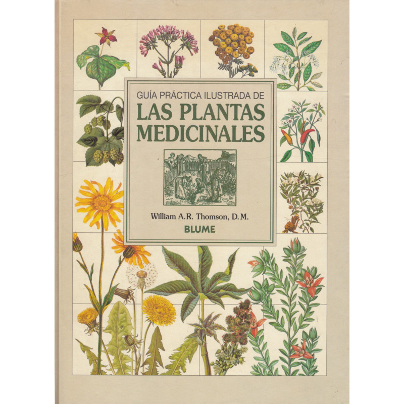 GUÍA PRÁCTICA ILUSTRADA DE LAS PLANTAS MEDICINALES