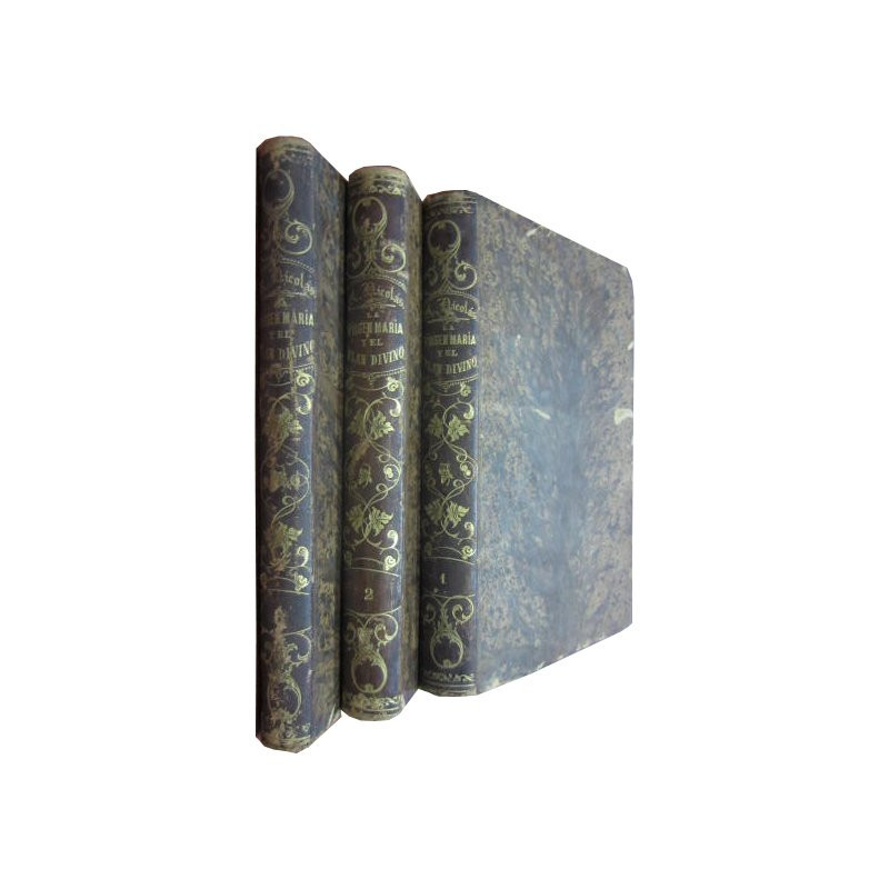 LA VIRGEN MARIA Y EL PLAN DIVINO NUEVOS ESTUDIOS FILOSOFICOS SOBRE EL CRISTIANISMO 3 Tomos