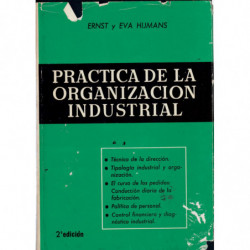 PRACTICA DE LA ORGANIZACION INDUSTRIAL