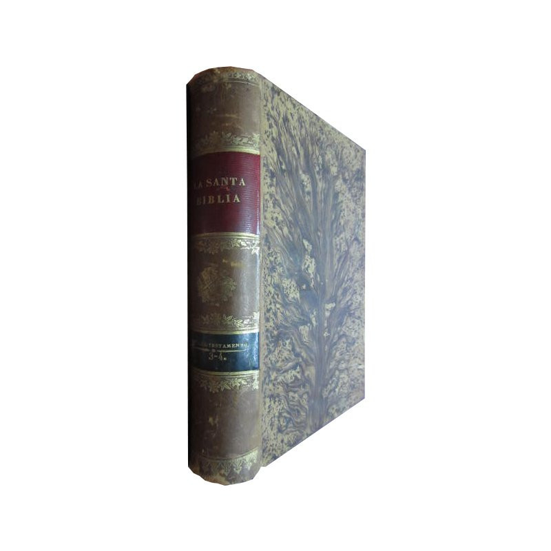 LA SANTA BIBLIA Vol. 3 y 4  Antiguo Testamento
