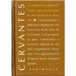 UN PEQUEÑO QUIJOTE Veinte capítulos íntegros seleccionados de DON QUIJOTE DE LA MANCHA
