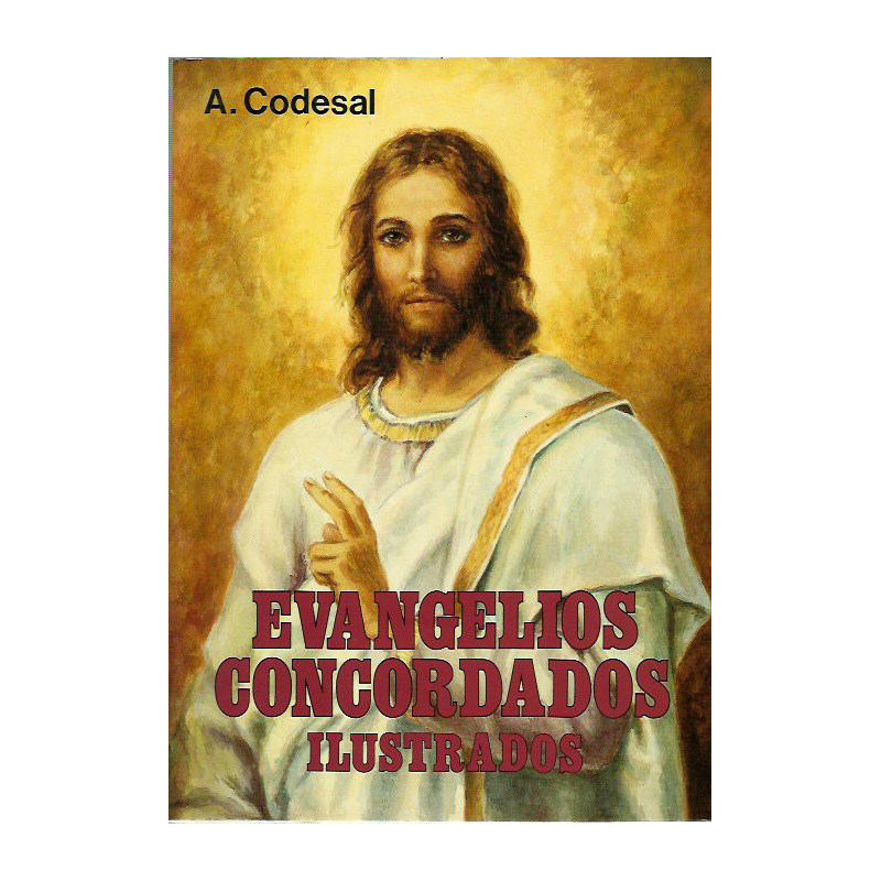 EVANGELIOS CONCORDADOS ILUSTRADOS