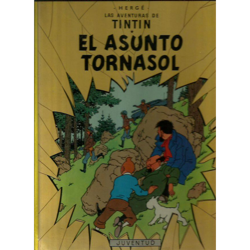 EL AUNTO TORNASOL
