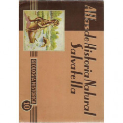 Atlas de Historia Natural Salvatella 10, GEOLOGÍA HISTORICA