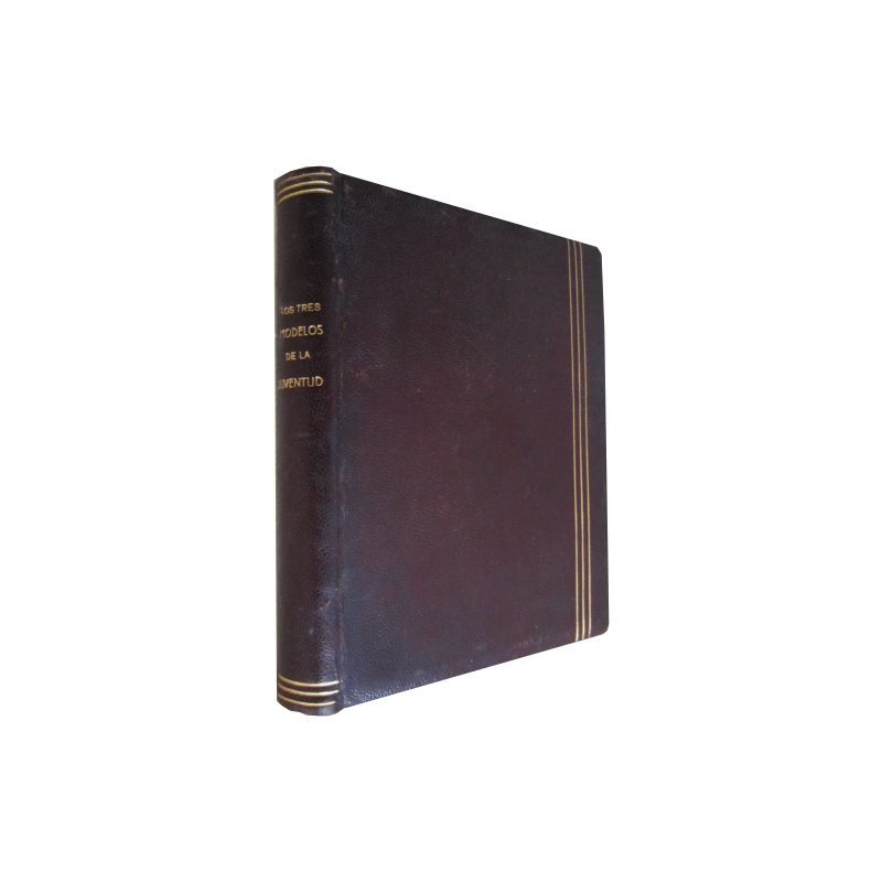 LOS TRES MODELOS DE LA JUVENTUD. San Luis Gonzaga, San Juan Berchmans y San Estanislao De Kostka, RELIGIOSOS DE LA COMPAÑÍA DE J