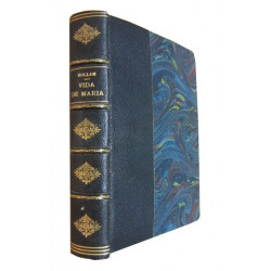 VIDA DE MARÍA, La Madre de Jesús