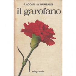 IL GAROFANO