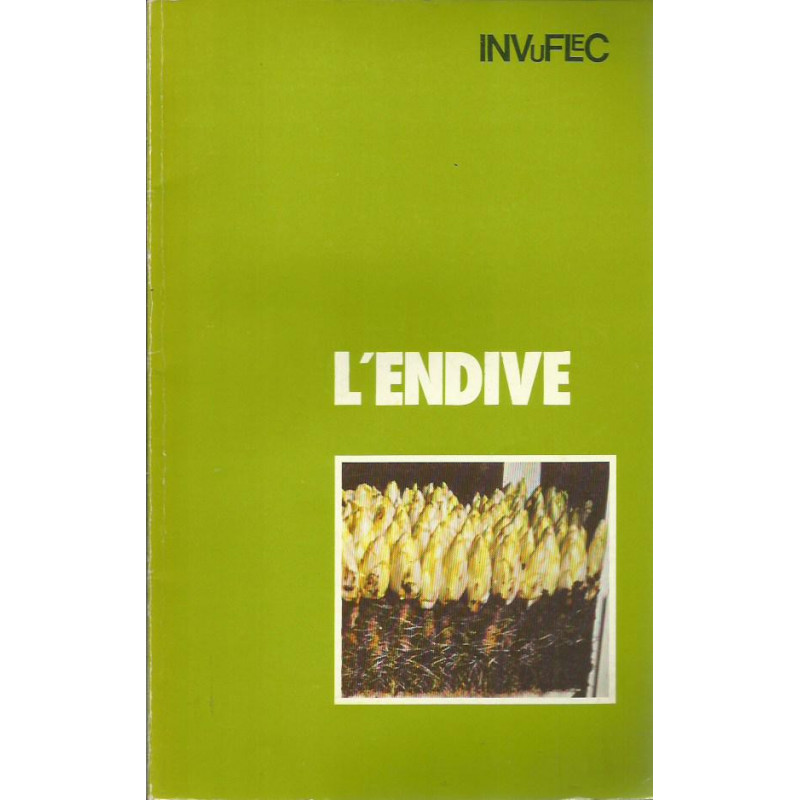 L'ENDIVE