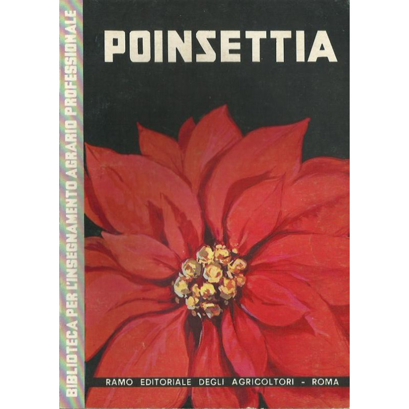 POINSETTIA -LA STELLA DI NATALE-