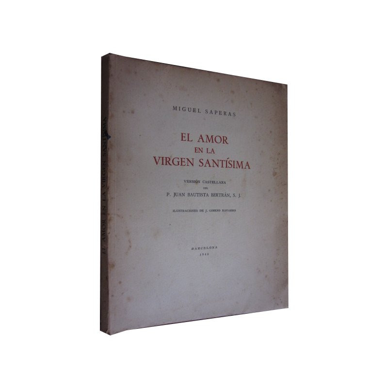 EL AMOR EN LA VIRGEN SANTÍSIMA
