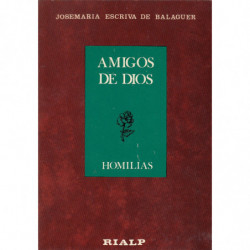 AMIGOS DE DIOS. HOMILIAS