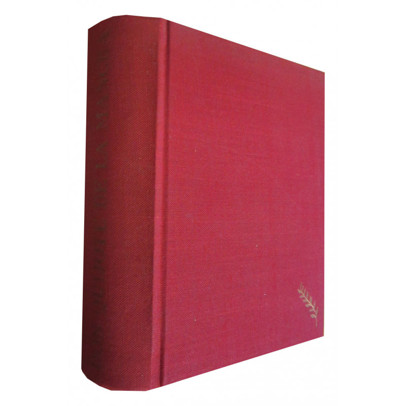 EL INGENIOSO HIDALGO DON QUIJOTE DE LA MANCHA